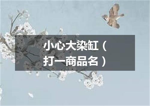 小心大染缸（打一商品名）