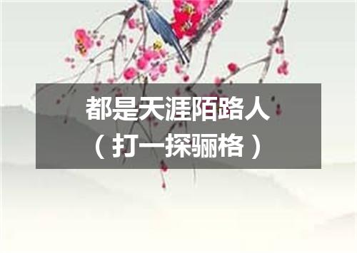 都是天涯陌路人（打一探骊格）