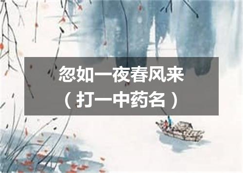 忽如一夜春风来（打一中药名）