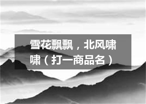 雪花飘飘，北风啸啸（打一商品名）