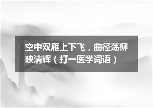 空中双雁上下飞，曲径荡柳映清辉（打一医学词语）