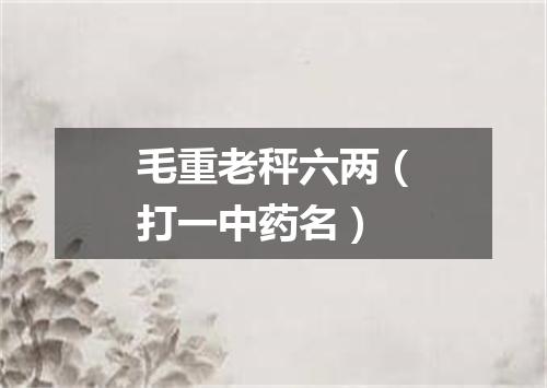 毛重老秤六两（打一中药名）