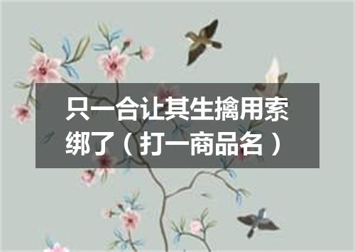 只一合让其生擒用索绑了（打一商品名）