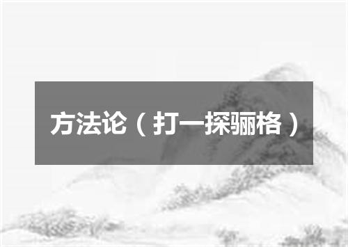 方法论（打一探骊格）