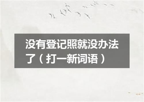 没有登记照就没办法了（打一新词语）