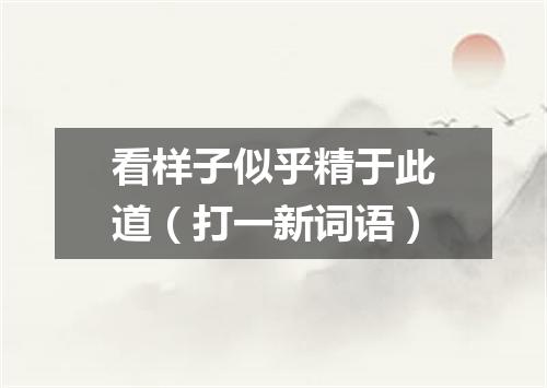 看样子似乎精于此道（打一新词语）