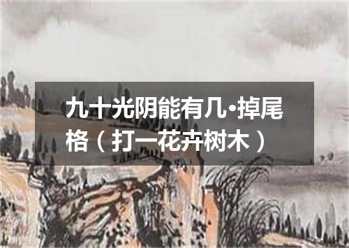九十光阴能有几·掉尾格（打一花卉树木）