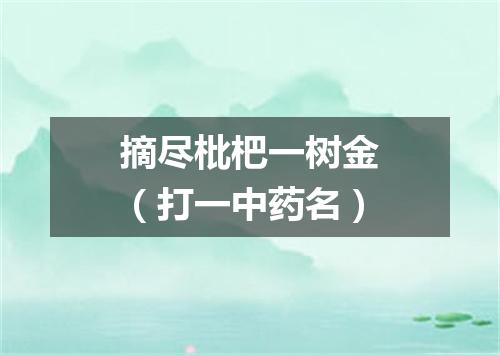 摘尽枇杷一树金（打一中药名）