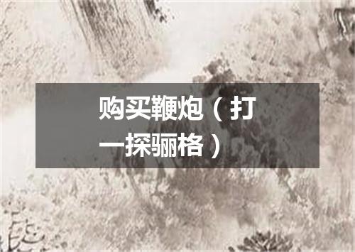 购买鞭炮（打一探骊格）