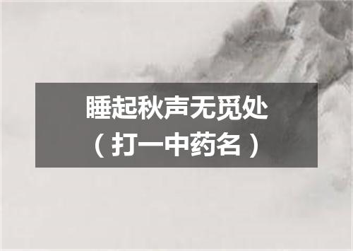 睡起秋声无觅处（打一中药名）