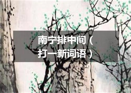 南宁排中间（打一新词语）