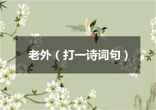 老外（打一诗词句）