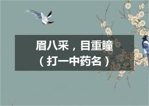 眉八采，目重瞳（打一中药名）