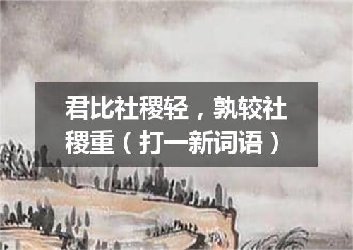 君比社稷轻，孰较社稷重（打一新词语）