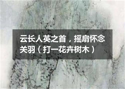 云长人英之首，摇扇怀念关羽（打一花卉树木）