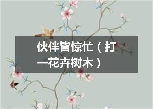 伙伴皆惊忙（打一花卉树木）