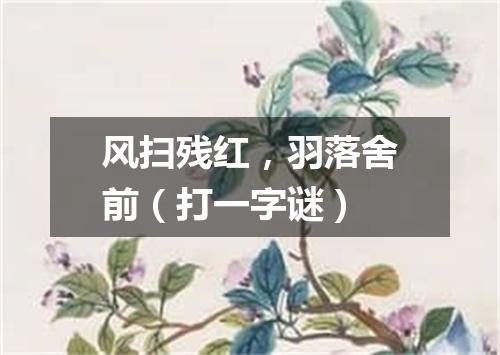 风扫残红，羽落舍前（打一字谜）