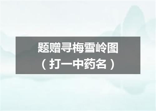 题赠寻梅雪岭图（打一中药名）