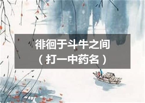 徘徊于斗牛之间（打一中药名）