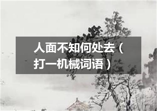 人面不知何处去（打一机械词语）