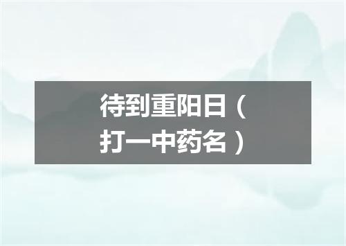 待到重阳日（打一中药名）