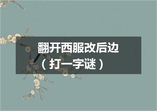 翻开西服改后边（打一字谜）
