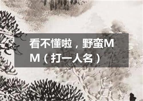看不懂啦，野蛮MM（打一人名）