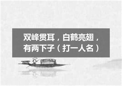 双峰贯耳，白鹤亮翅，有两下子（打一人名）