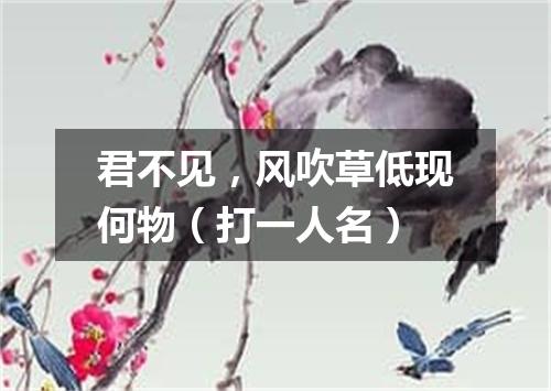 君不见，风吹草低现何物（打一人名）