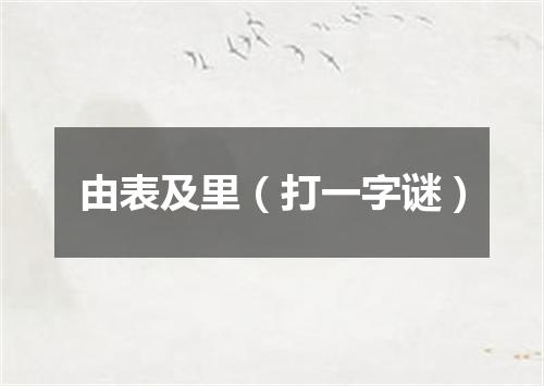 由表及里（打一字谜）