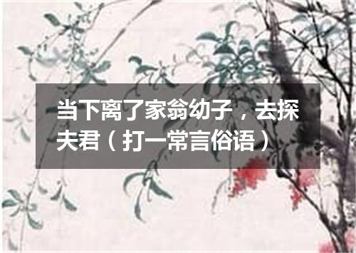 当下离了家翁幼子，去探夫君（打一常言俗语）