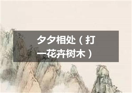 夕夕相处（打一花卉树木）