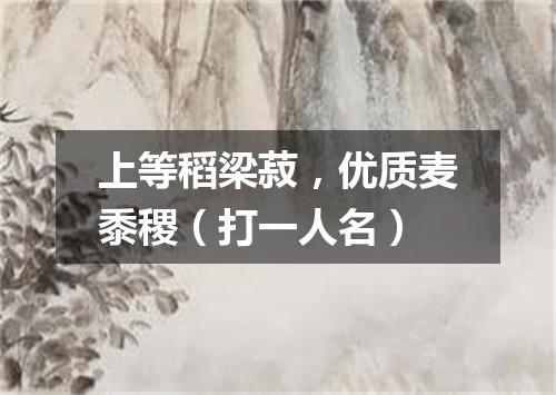 上等稻梁菽，优质麦黍稷（打一人名）