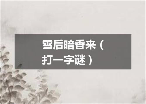 雪后暗香来（打一字谜）