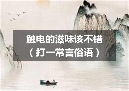 触电的滋味该不错（打一常言俗语）