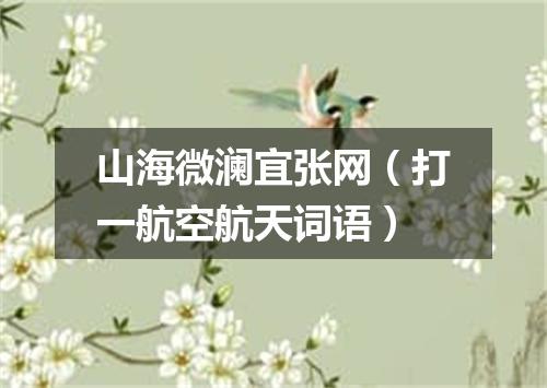 山海微澜宜张网（打一航空航天词语）