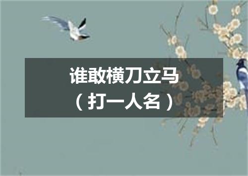 谁敢横刀立马（打一人名）