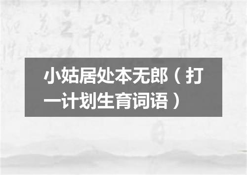 小姑居处本无郎（打一计划生育词语）