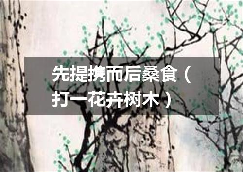 先提携而后桑食（打一花卉树木）