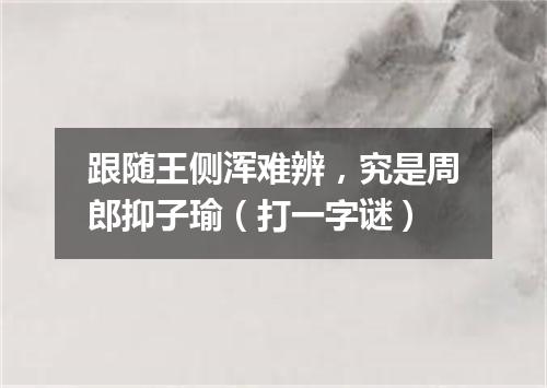 跟随王侧浑难辨，究是周郎抑子瑜（打一字谜）