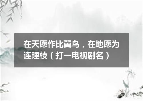在天愿作比翼鸟，在地愿为连理枝（打一电视剧名）