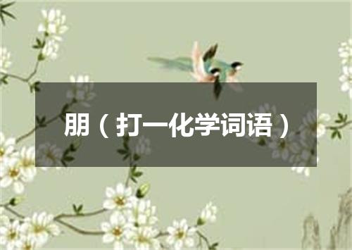 朋（打一化学词语）