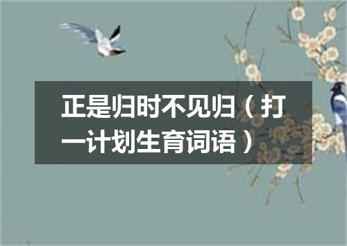 正是归时不见归（打一计划生育词语）