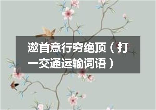 遨首意行穷绝顶（打一交通运输词语）