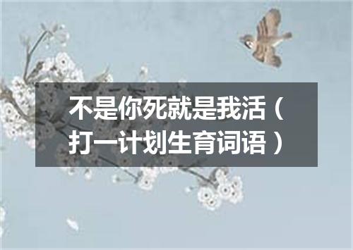 不是你死就是我活（打一计划生育词语）