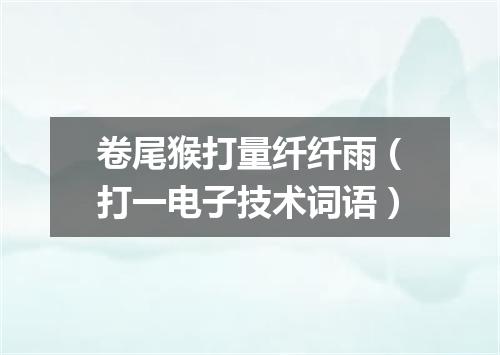 卷尾猴打量纤纤雨（打一电子技术词语）