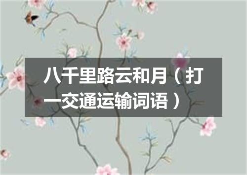 八千里路云和月（打一交通运输词语）
