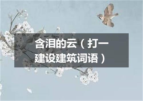 含泪的云（打一建设建筑词语）