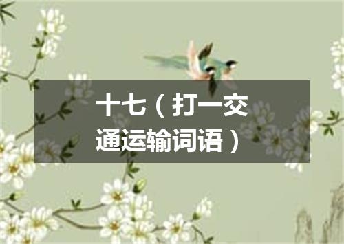 十七（打一交通运输词语）