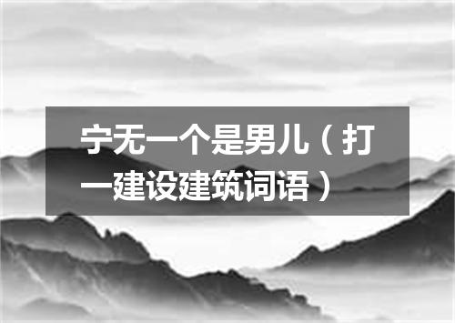 宁无一个是男儿（打一建设建筑词语）